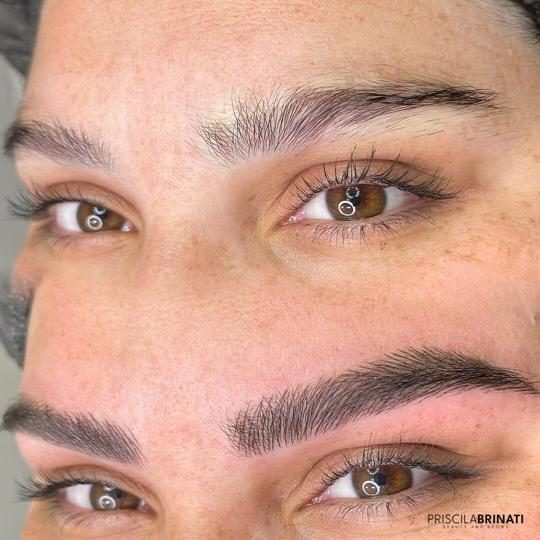 micropigmentacao-sobrancelha-priscila-1.jpeg