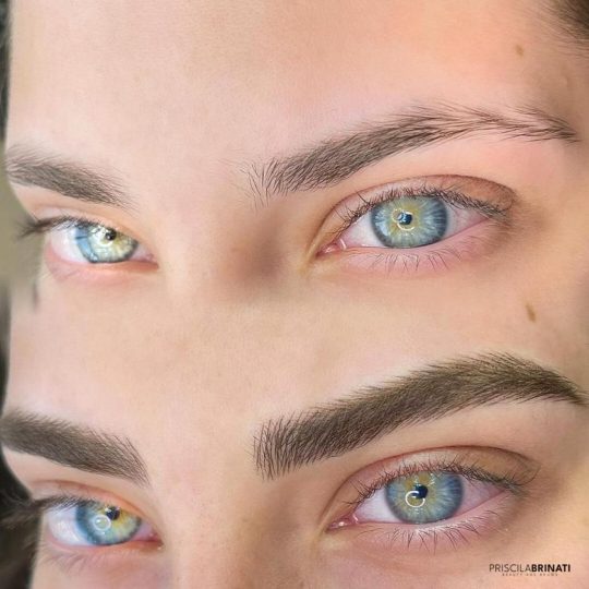 micropigmentacao-sobrancelha-priscila-2.jpeg