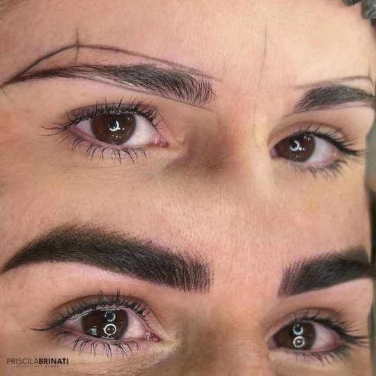 micropigmentacao-sobrancelha-priscila-4.jpeg